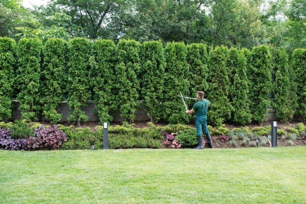 Reliable Yardley, PA Tree Service Solutions